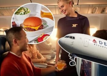 Delta Air Lines Shake Shack partnership