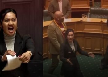 new zealand maori mp haka