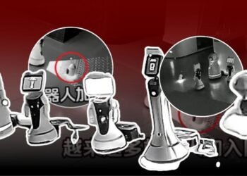 Robot interaction experiment