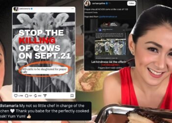 Jodi Sta. Maria and Carla Abellana trampled by cow-sized hypocrisy?