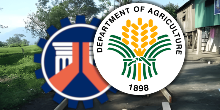 Agriculture Department takes over farm-to-market roads from scandal-ridden DPWH