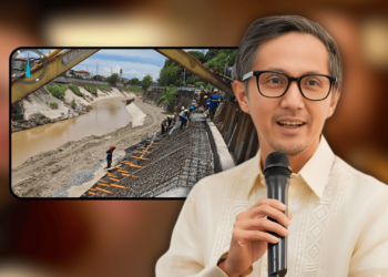 Dizon assembles expert panel to vet all flood control projects after scandal