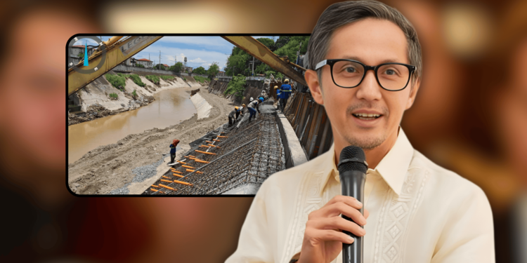 Dizon assembles expert panel to vet all flood control projects after scandal