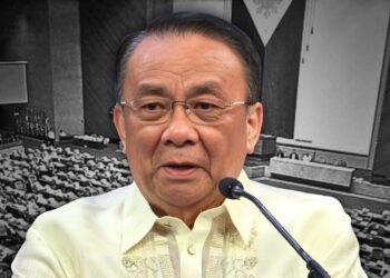 Bersamin forced out after being told he ‘had to go’ amid budget insertion probe