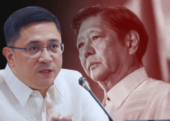 Ex-Cebu Customs collector Charlito Mendoza named new BIR chief