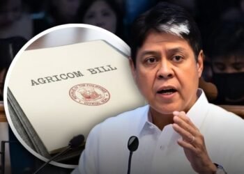 Sen. JV pushes 3-year tax holiday for micro, small and medium enterprises