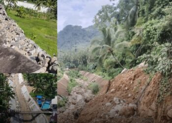 Trump officially classifies fentanyl distribution as a weapon of mass destruction