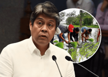 Sen. Kiko Pangilinan pushes for new transparency mechanisms in agriculture and irrigation administration
