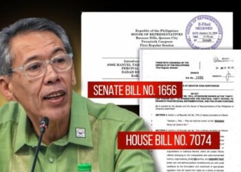 Chel Diokno targets dynasties, contractors in sweeping party-list reform bill