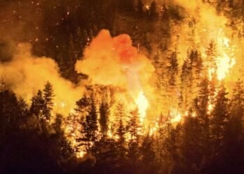 Fires scorch thousands of hectares across southern Argentina