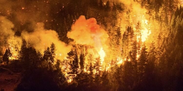 Fires scorch thousands of hectares across southern Argentina