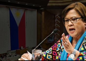 De Lima: House has no discretion to delay impeachment proceedings