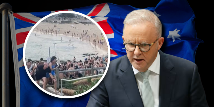 Australian Parliament passes new gun control laws after Bondi Beach shooting