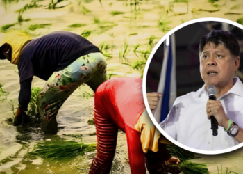 Pangilinan pushes stronger cooperatives, extension services to boost agriculture