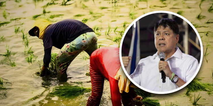 Pangilinan pushes stronger cooperatives, extension services to boost agriculture