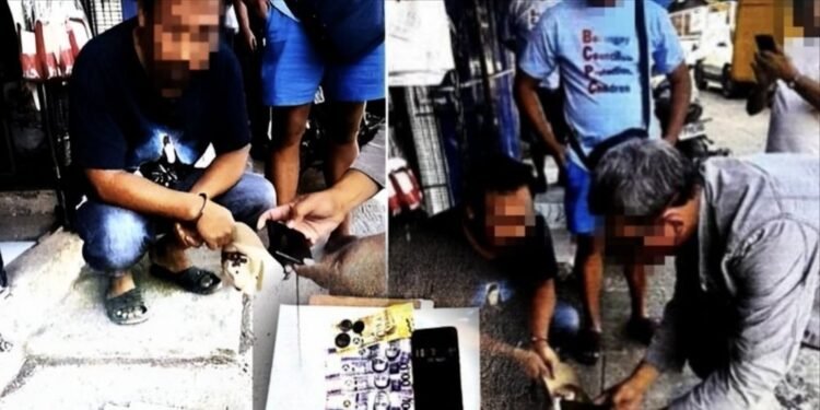 India set for cheaper Ozempic as key patent expires in March 2026