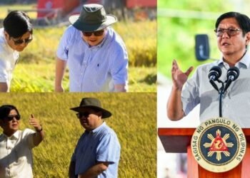 Ramon Tulfo says Sara Duterte is “inarticulate, irresponsible, a thief and psycho”