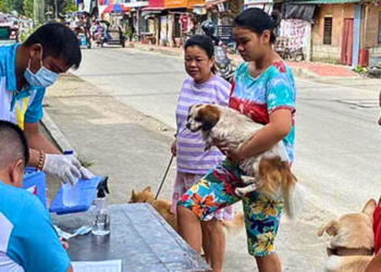 Iloilo City cuts rabies deaths to zero despite vaccine shortages, urges responsible pet ownership