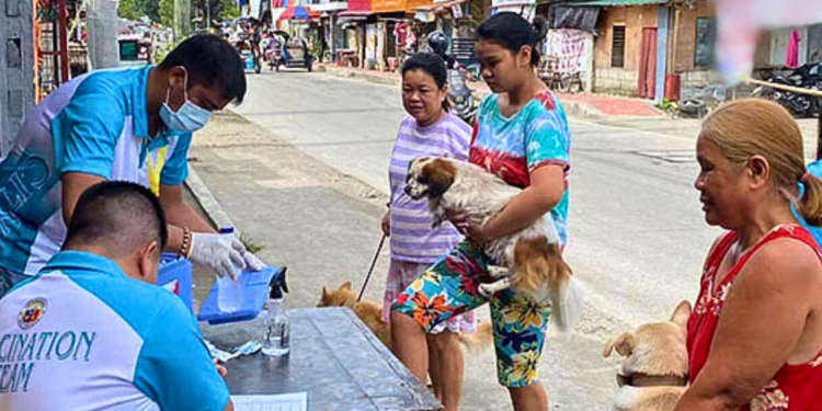 Iloilo City cuts rabies deaths to zero despite vaccine shortages, urges responsible pet ownership