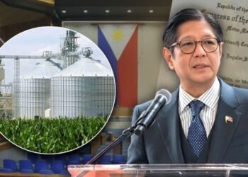 Lower House backs bill allowing President Marcos to suspend biofuel blending amid fuel price spikes