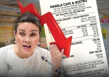 Legarda proposes lower VAT on food, medicine, and electricity to cut household costs