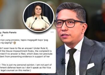 Panelo Jr. says Sara does not need to file an answer for impeachment case to continue