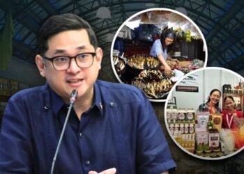 Aquino demands fix to aid system as micro, small, and medium enterprises and middle class go uncovered