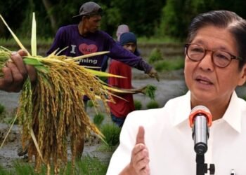 Admin reviews amendments to Rice Tariffication Law as government weighs impact on farmers