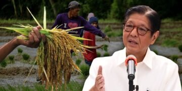 Admin reviews amendments to Rice Tariffication Law as government weighs impact on farmers