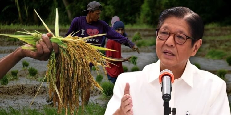 Admin reviews amendments to Rice Tariffication Law as government weighs impact on farmers