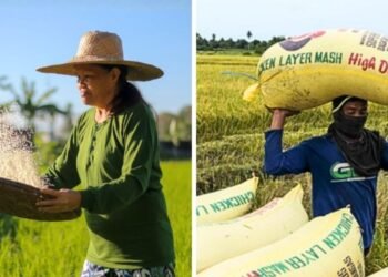 DA assures rice supply stable, proposes up to ₱40B aid as farm costs surge