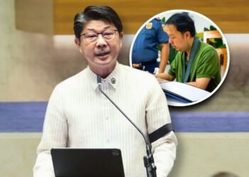 Dy says arrest of Zaldy Co sends warning to officials facing corruption allegations