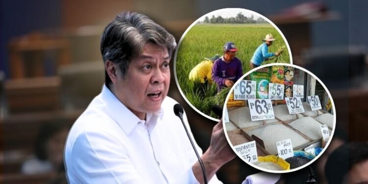 Musk’s SpaceX vs Bezos’ Blue Origin: NASA sets direct race for 2028 human moon landing