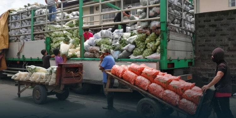 Amid soaring inflation, DA says food supply remains sufficient
