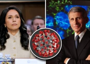 In final move as Trump’s director of national intelligence, Tulsi Gabbard reveals shocking evidence of Fauci funding the creation of covid 19 in Wuhan