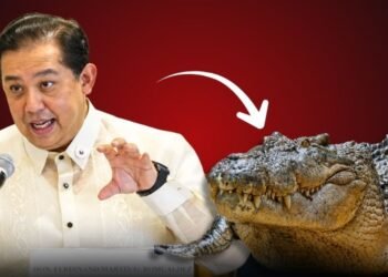 Martin Romualdez sues PGMN for calling him “buwaya”