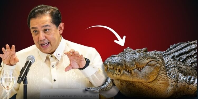 Martin Romualdez sues PGMN for calling him “buwaya”