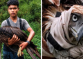 Indigenous hero saves wounded Philippine eagle from deadly monkey attack
