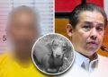 Dog abuse sparks outrage in Tacloban; along with school shootings, exposes gaps across Romualdez-led LGU