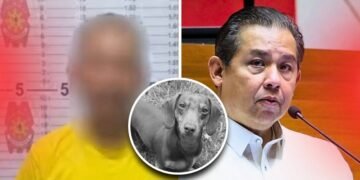 Dog abuse sparks outrage in Tacloban; along with school shootings, exposes gaps across Romualdez-led LGU