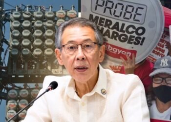 Diokno urges power distributors to scrap systems loss charges now without waiting for EPIRA amendment