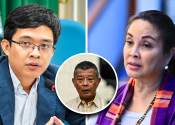 Ombudsman orders preliminary plunder, graft probe into Legarda, Leviste over solar projects