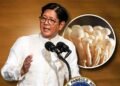 DA says Filipino-grown enoki mushrooms could be PH agriculture’s next big export after Marcos’ SONA mention