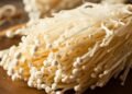 Is the intriguing Filipino-grown enoki mushroom a new growth engine for PH agriculture?