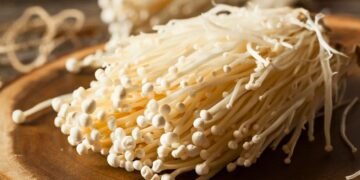 Is the intriguing Filipino-grown enoki mushroom a new growth engine for PH agriculture?
