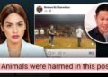 CJ Hirro calls out Marvin Rillo for misleading disclaimer on cockfighting video post