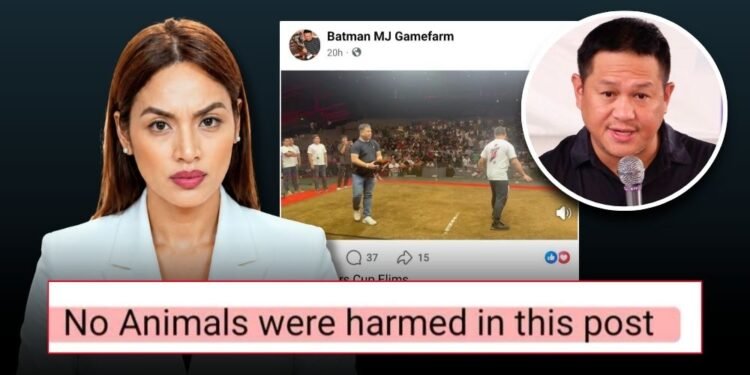 CJ Hirro calls out Marvin Rillo for misleading disclaimer on cockfighting video post
