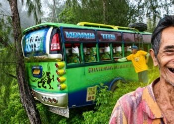 Tree planted by Cebuano 35 years ago stopped a bus from falling into a ravine