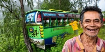 Tree planted by Cebuano 35 years ago stopped a bus from falling into a ravine