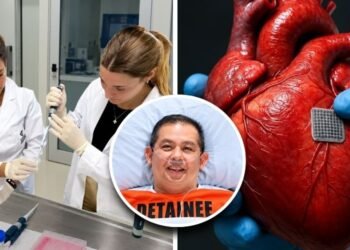 Argentine Scientists Develop Injectable Hydrogel That Could Help Repair Tissue After a Heart Attack
